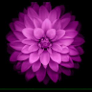 Meet your Posher, Angel